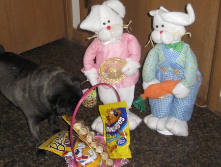 They have brought Ernie an Easter Basket!